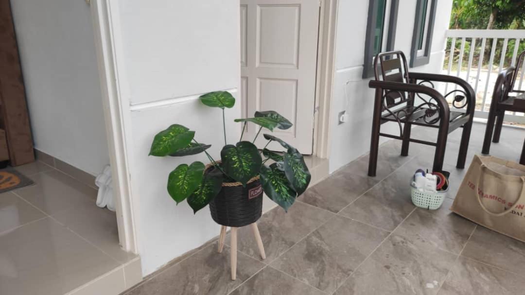 D'Lamar Homestay Pendang Exteriér fotografie